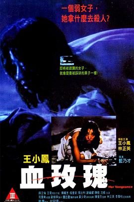 《情深不悔，再爱难为》电视剧高清全集