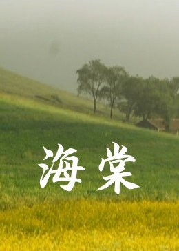 《小心谨慎》电影高清完整版