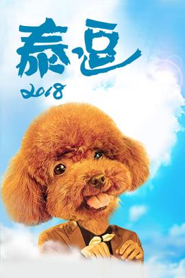《暗之伴走者》电视剧高清全集