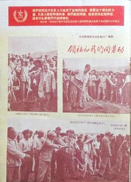 《男人运用说明书》电影高清完整版