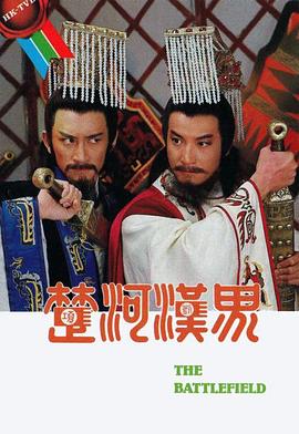 《芳华之杀人者》电影高清完整版