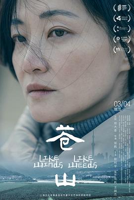 《骷髅神庙的瑰宝》电影高清完整版