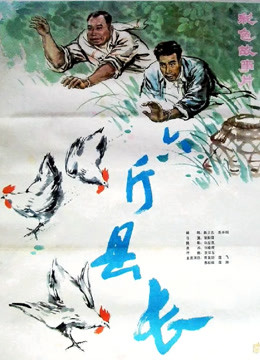 《在这里》电视剧高清全集