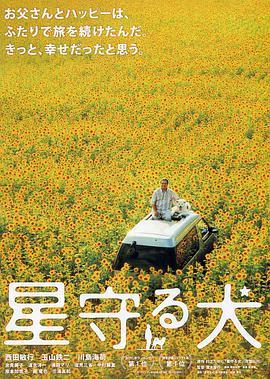《陀枪师姐2国语》电视剧高清全集