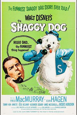 《猎犬第二季》电视剧高清全集