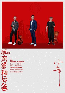 《重返芳华》电视剧高清全集