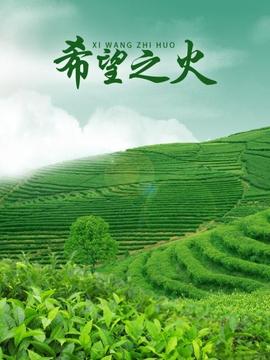 《白王后》电视剧高清全集