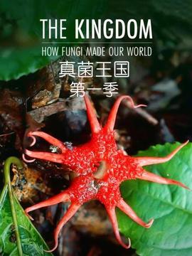 《惊魂手》电影高清完整版