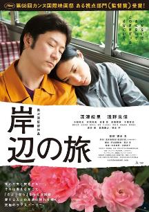 《君不知》电视剧高清全集