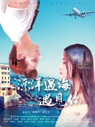 《准则》电视剧高清全集