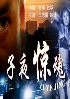 《新教宗》电视剧高清全集