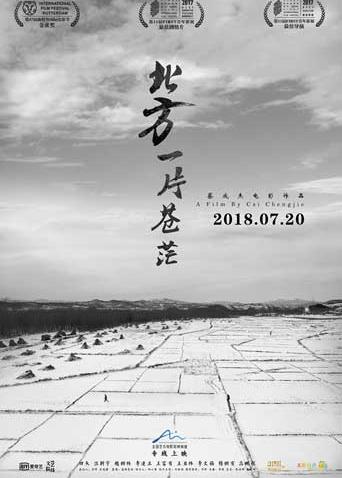 《背背篓的网球少年》电影高清完整版