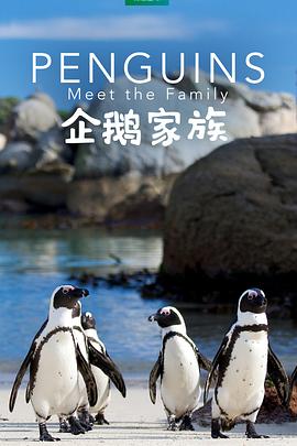 《春寒》电影高清完整版