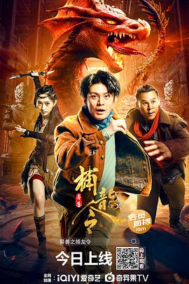 《绝佳的处理师》电视剧高清全集