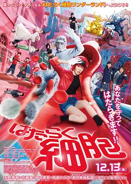 《八月的棒球甜心》动漫高清全集