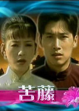 《居家男人2004》电视剧高清全集