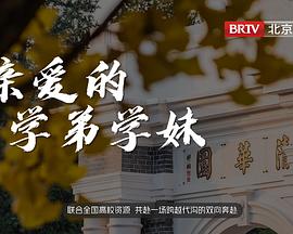 《高跟鞋【影视说明】》电影高清完整版