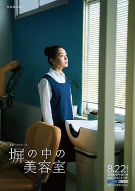 《绝命毒师第二季》电视剧高清全集