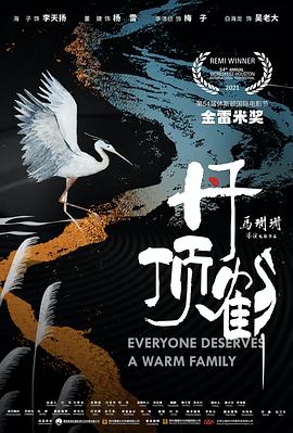 《这个大叔有点酷》电视剧高清全集