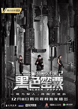 《我不是精英》电视剧高清全集