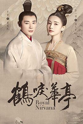 《芝加哥烈焰第十三季》电视剧高清全集
