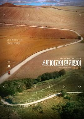 《2001个疯子【影视说明】》电影高清完整版