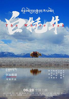 《真命天子2015》电视剧高清全集