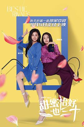 《中央情报局第一季》电视剧高清全集