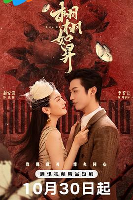 《威龙猛探》电影高清完整版