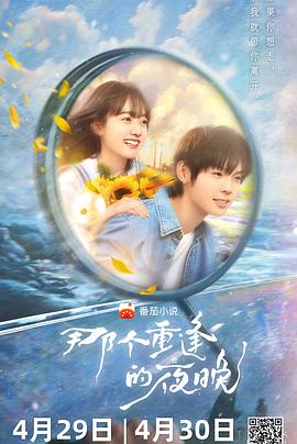 《恶夜迷魂》电影高清完整版