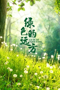 《十字区的最终国王第二季》电视剧高清全集