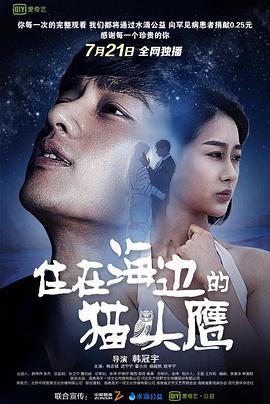 《新宝可梦》动漫高清全集