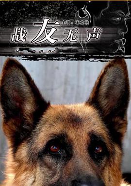 《此时只要你共我》电影高清完整版