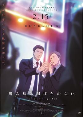 《中情局律师》电视剧高清全集