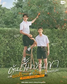 《车管所》电视剧高清全集