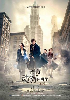 《隐秘同盟》电视剧高清全集