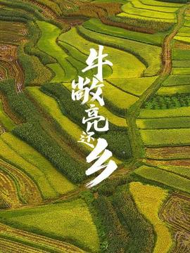 《谢尔沙》电影高清完整版