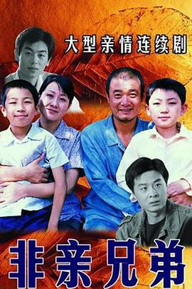 《命悬终身》电视剧高清全集