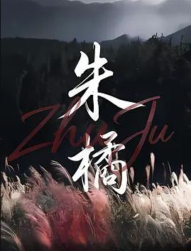 《江湖接班人》电影高清完整版