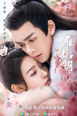 《下一个飓风》电影高清完整版