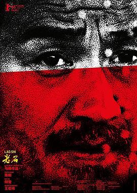 《接近维米尔》电影高清完整版