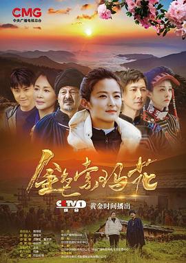 《要爸仍是妈》电影高清完整版