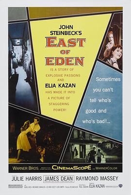 《恋恋海湾》电影高清完整版