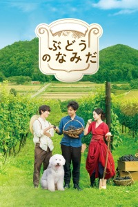 《哈利·波特20周年：回到霍格沃茨》电影高清完整版