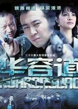 《凶恶力气第十一季》电视剧高清全集