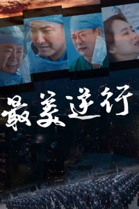《百炼飞升录》动漫高清全集