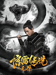 《海报师：阮大勇的插画艺术》电影高清完整版
