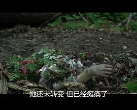 《零号追杀国语》电影高清完整版
