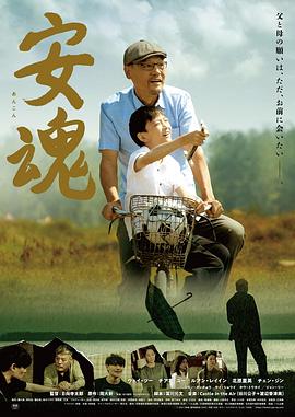 《是非大奋斗》电视剧高清全集