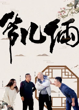 《白宫水管工》电视剧高清全集